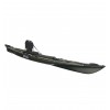 Black Marlin