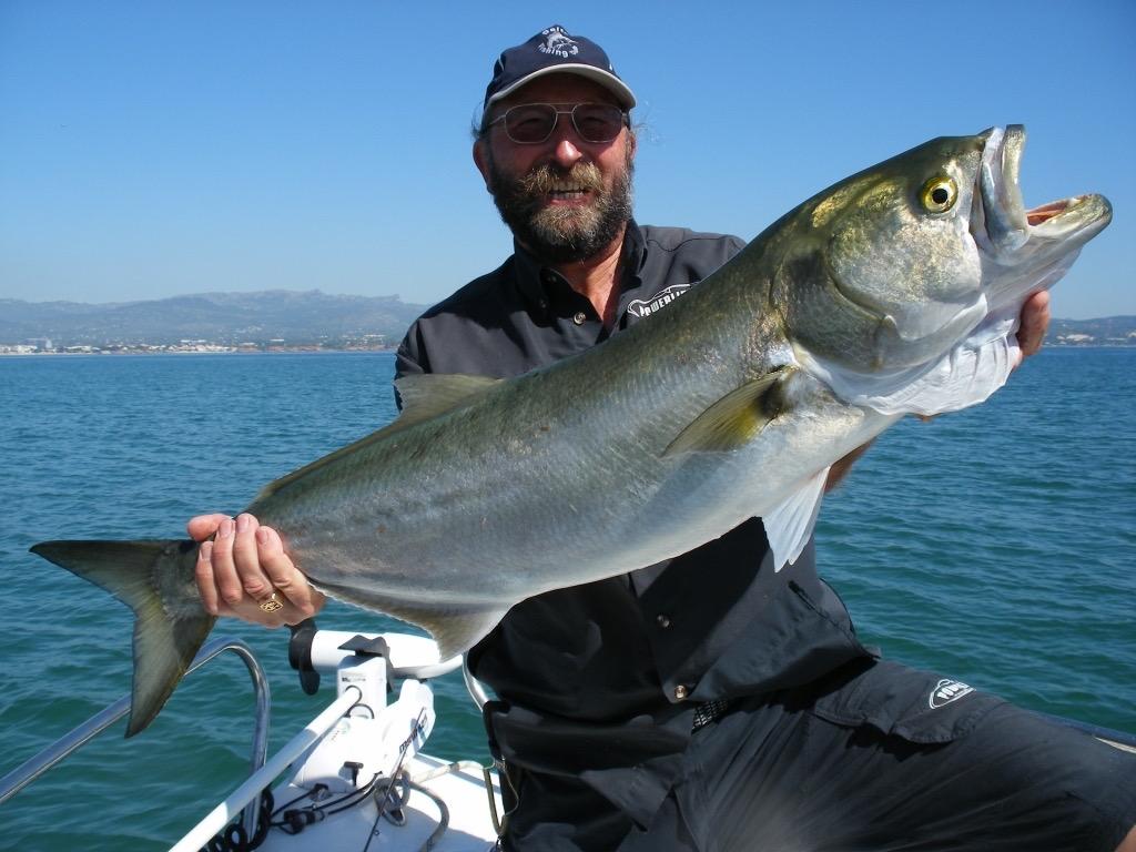Big Bluefish, Coast of Spain