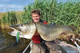 Monster Pike from the Dutch Polders
